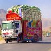 ijaz0976
