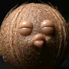 coconut01892