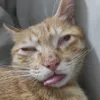 hihihihihihuhuhuhu1