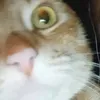 xskzyu