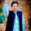 ptizindabab1