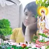 phongnevergiveup