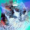 royalmainecoonkittens