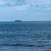 sl20241504