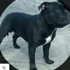 simbalarue801