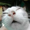 nahm_6