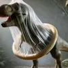 visla_polska2