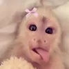 emsspam._1