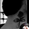 _el_leo_96