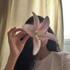diana.hasan40