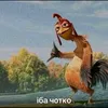 ida_chotco