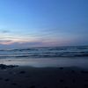 lauree.teso6