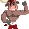 dashingbulls