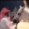 fahahd501