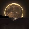 علي 🌕