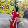 huế cadycute