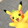 momo_4288