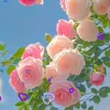 nguyenmuoi251079
