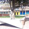 andres.rico.ramir