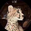 numan_cheema46