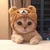 nianqingg