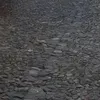 xertobt