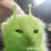 umeerror