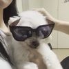yul_12352
