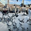 qurankareemf