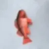 fish_from_the_sewers