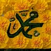 user57650170677748