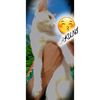 huraira_islam21