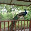anamaria_1763