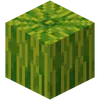 fux_craft