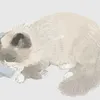 nangggther