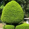 hungduc855