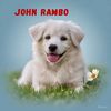 ramboguy187