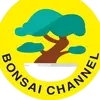 tuanbonsaichannel