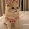 yasmin.mohammed16
