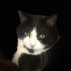 gatgirl2022