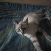 _dalilas2