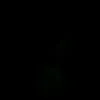 gogl_ndo