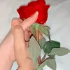 mohammadali9293