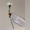aw_if0