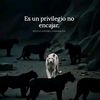jonathancruz2873