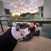 uncaledonienasydney