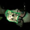 patitascrs123_3