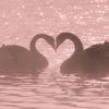 kirah_78