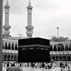 muha.mmed.afzal