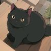 CatPillowInBio